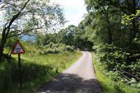 Glen Roy lane